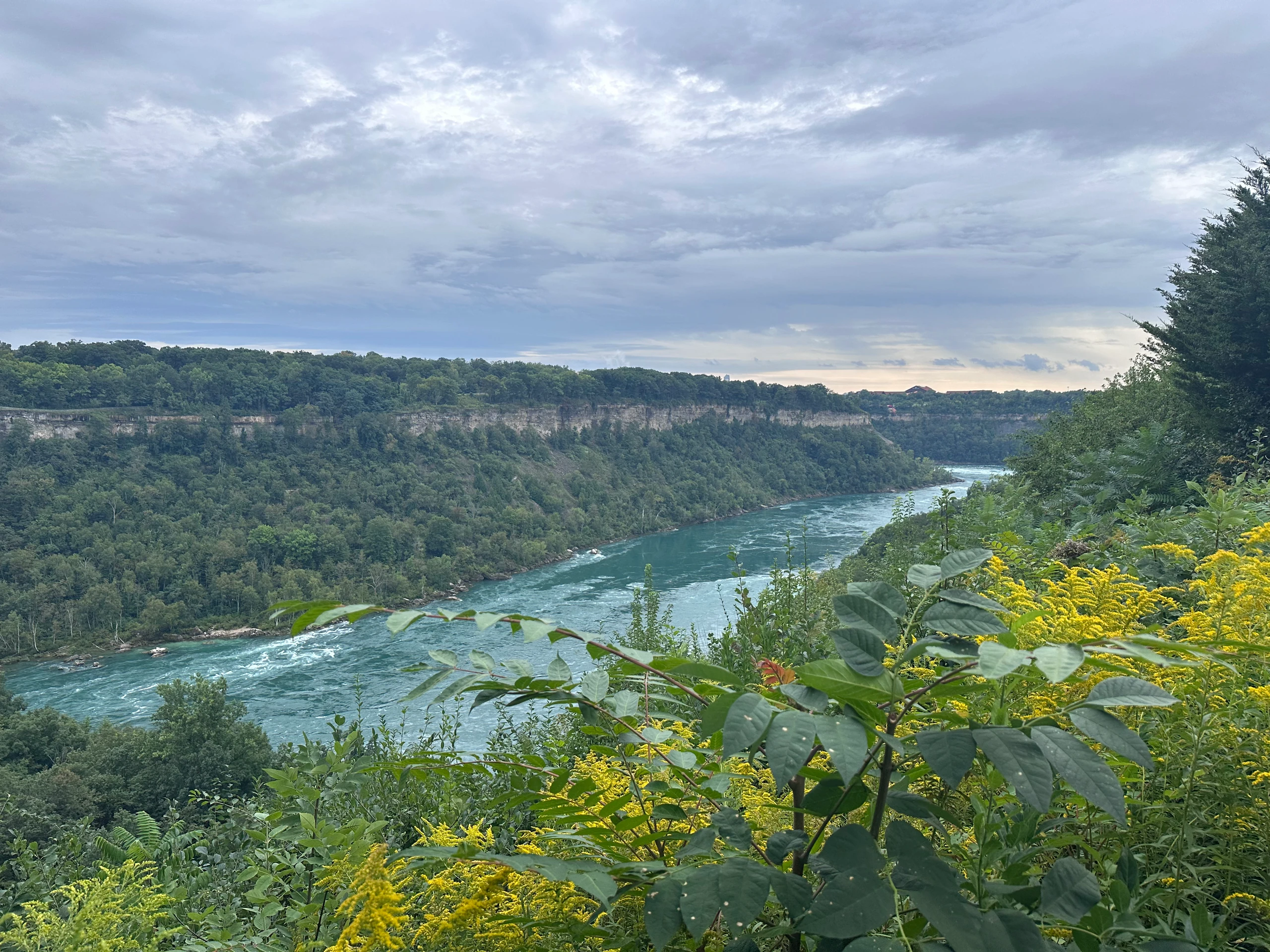 Le Niagara entre les falaises et la végétation — Gorges du Niagara